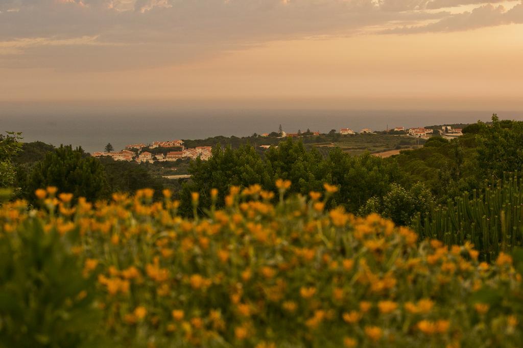 O Vale Ericeira Exterior foto
